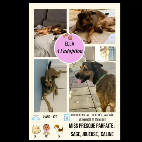 Ella