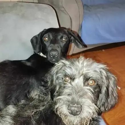 Pepito photo 2