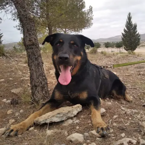 Max