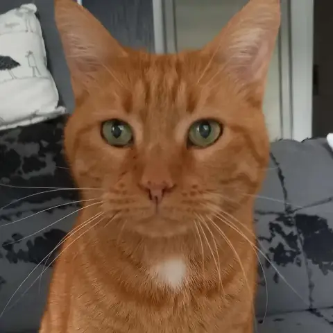 Zym