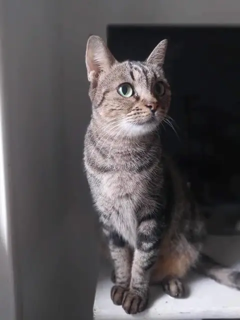 Maddie