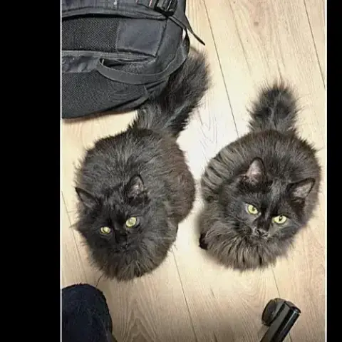Duster Et Plumeau