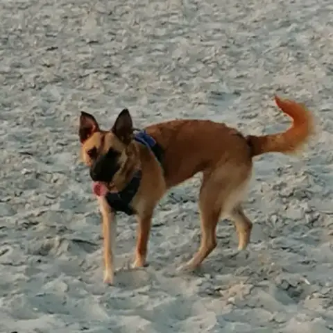 Nelly photo 2