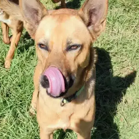 Rosita photo 2