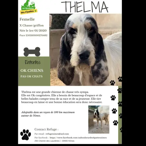 Thelma