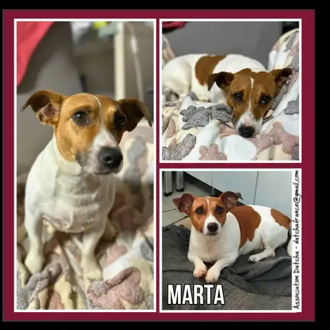 Marta
