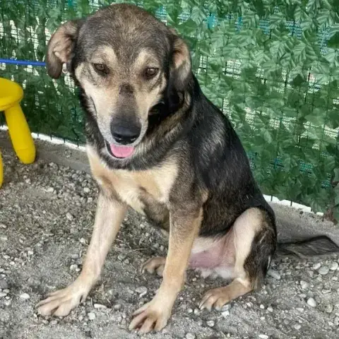 Luba