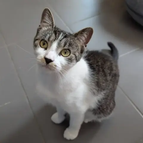 Louisa photo 2