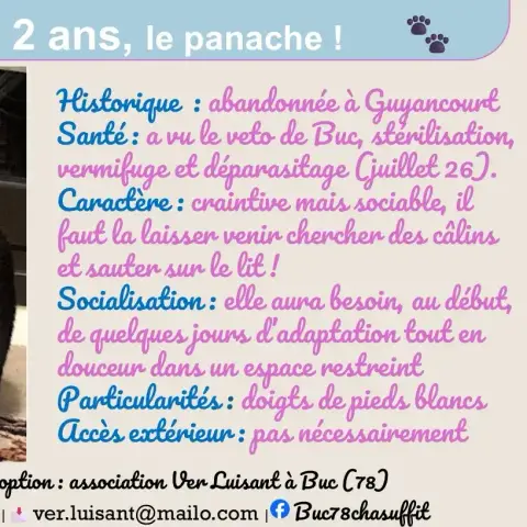 Hermine photo 3