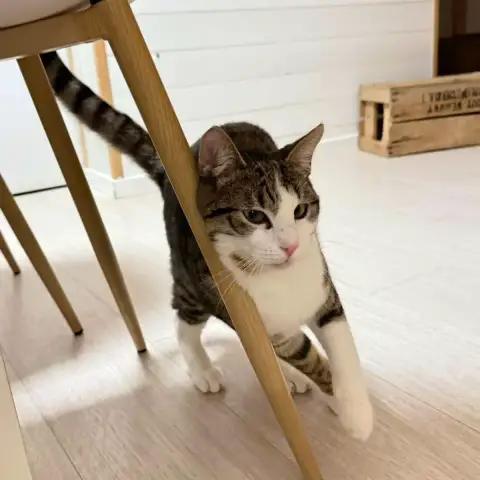 Léo photo 2