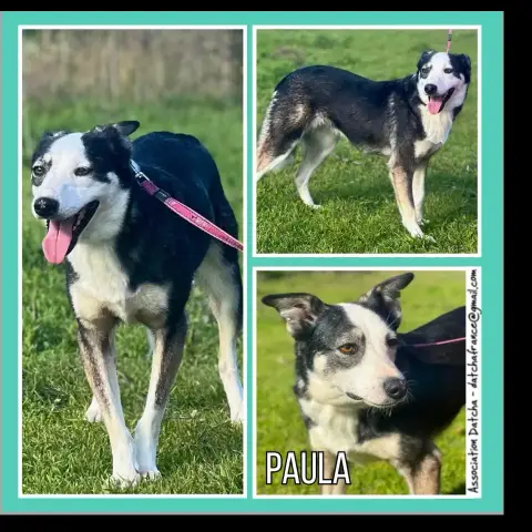 Paula