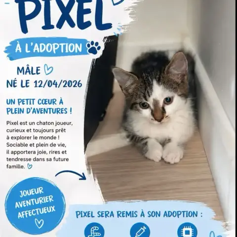Pixel