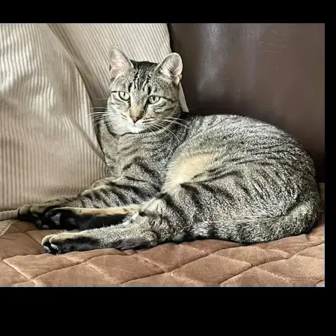 Marco photo 3