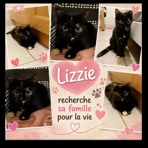 Lizzie