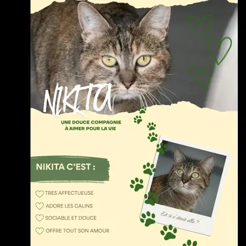 Nikita photo 3