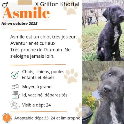 Asmile