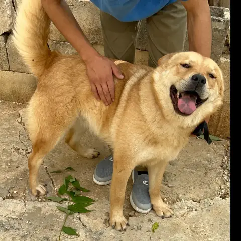Takara