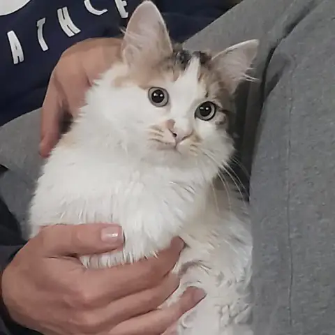 Elsa photo 2
