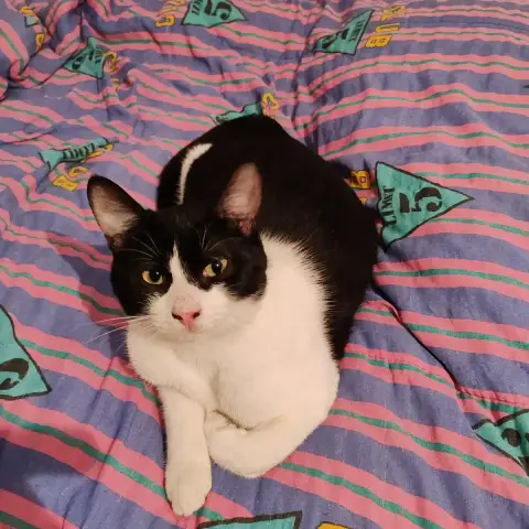 Olgato En Accueil Chez Nathalie photo 3