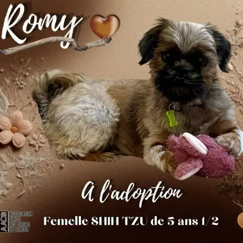 Romy