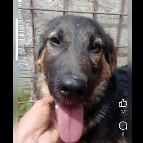 Lenny