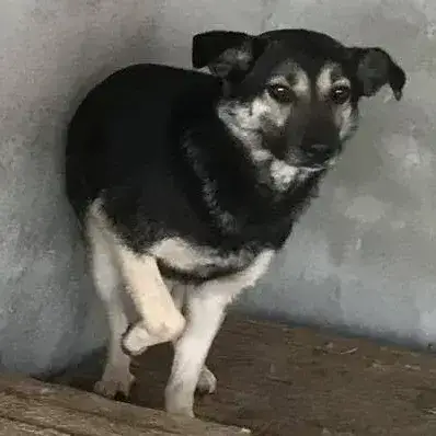 Maya photo 2