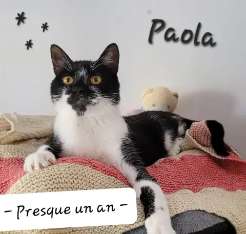 Paola