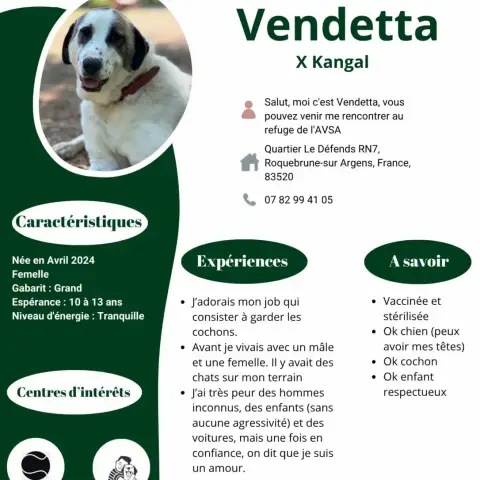 Vendetta photo 2