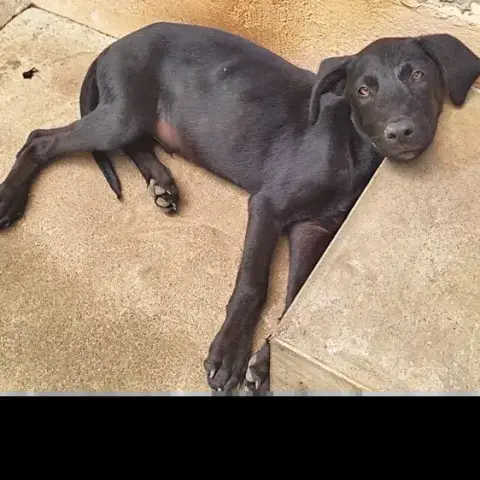 Bouba