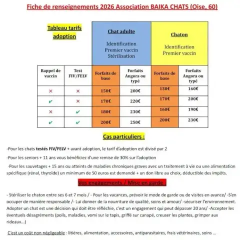 _Fiche_Renseignements_Baïka photo 2
