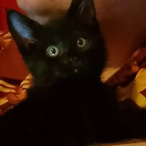 Néa photo 3