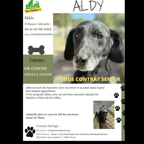 Aldy