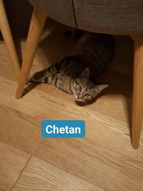 Chetan photo 3