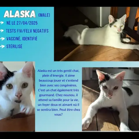 Alaska
