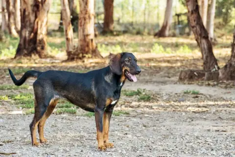 Réva photo 2