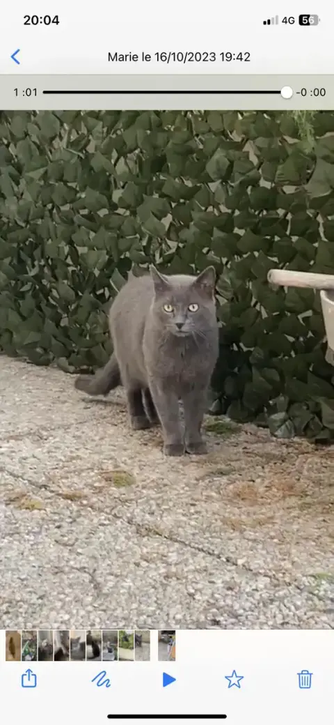 Sultan Fiv photo 3