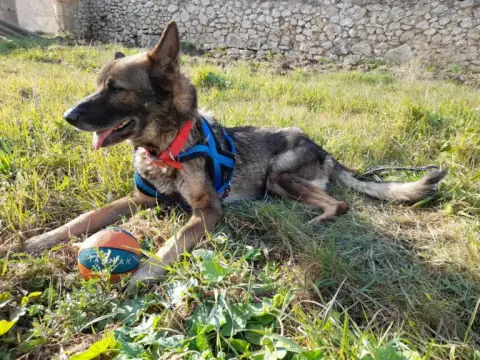 Jet