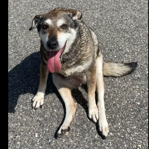 Nora