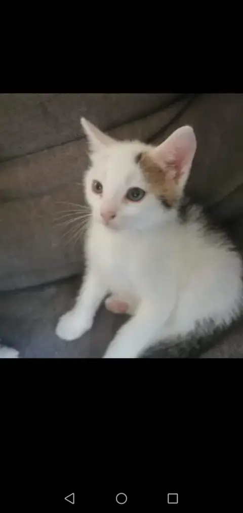 Vanille photo 2