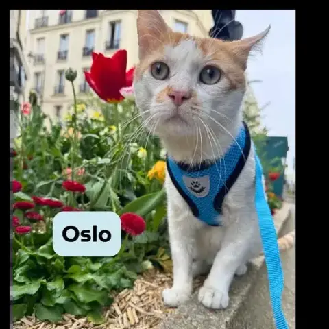 Oslo