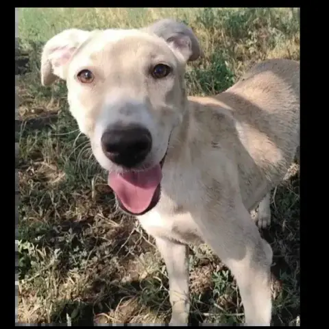Wilma photo 3
