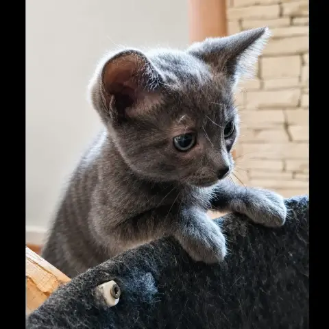 Blue photo 3