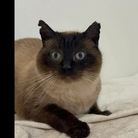 Patton photo 2