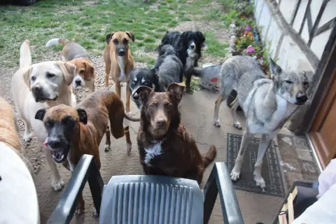 Loona photo 3