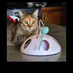 Princesse photo 3