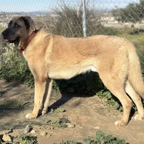 Zeus photo 2