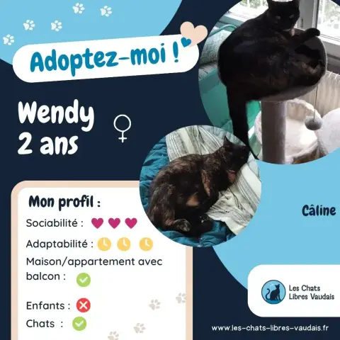 Wendy photo 3