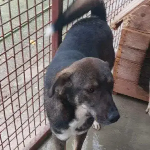 Ragnar