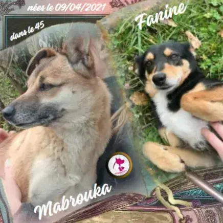 Mabrouka & Fanine