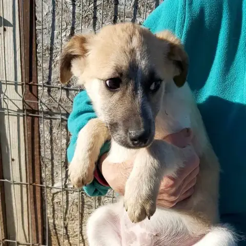 Mélie photo 2